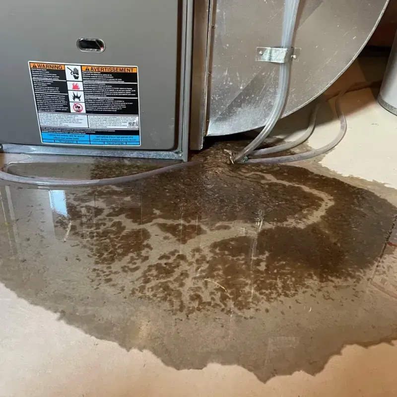 Appliance Leak Cleanup in Villas, FL